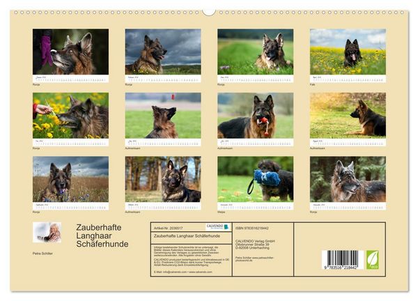 Produktbild: Zauberhafte Langhaar Sch&auml;ferhunde (hochwertiger Premium Wandkalender 2026 DIN A2 quer), Kunstdruck in Hochglanz