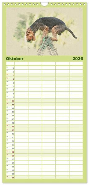 Produktbild: Familienplaner 2026 - Airedale Terrier 2026 mit 5 Spalten (Wandkalender, 21 x 45 cm) CALVENDO