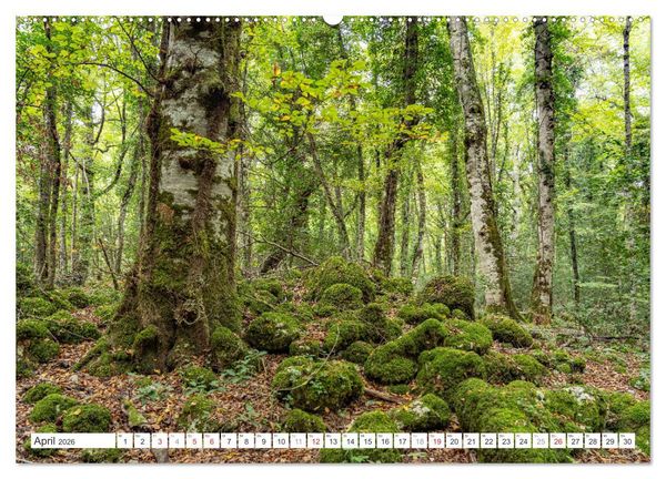 Produktbild: Italien - Apulien (hochwertiger Premium Wandkalender 2026 DIN A2 quer), Kunstdruck in Hochglanz