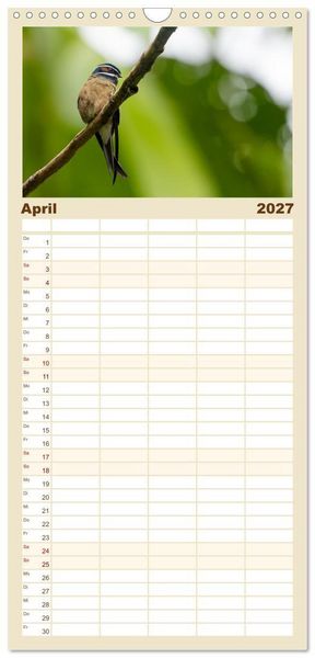 Produktbild: Familienplaner 2027 - Zwischen Nebel und Baumriesen - V&ouml;gel Borneos mit 5 Spalten (Wandkalender, 21 x 45 cm) CALVENDO