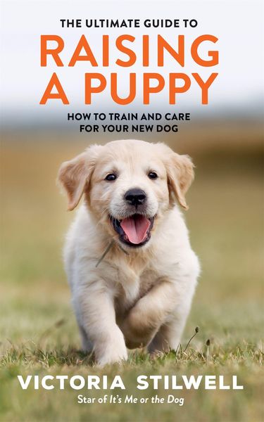 Produktbild: The Ultimate Guide to Raising a Puppy