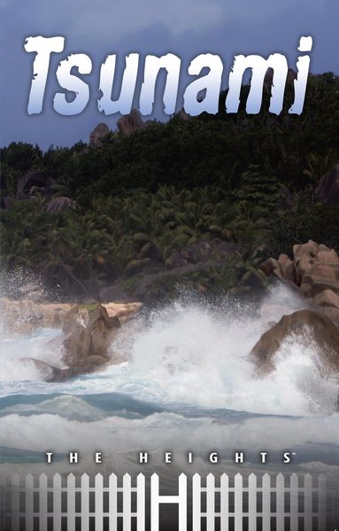 Produktbild: Tsunami