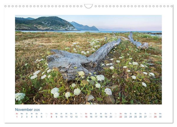 Produktbild: Korsika 2026 (Wandkalender 2026 DIN A3 quer), CALVENDO Monatskalender