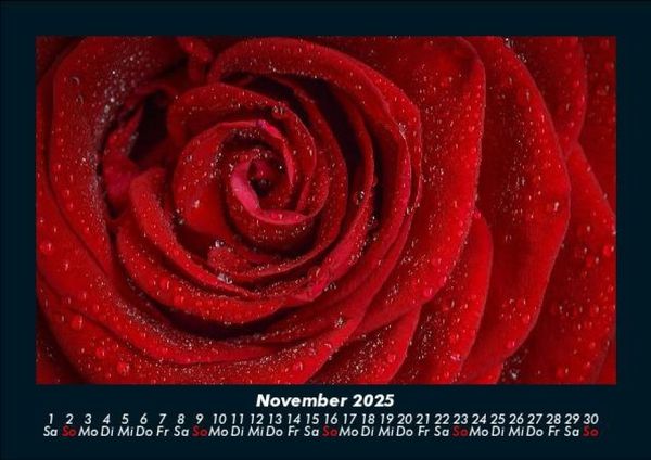 Produktbild: Rosentraum 2025 Fotokalender DIN A5