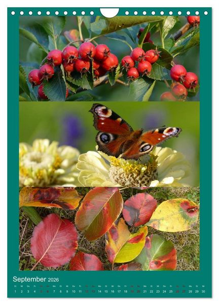 Produktbild: Mein Gartenjahr - Mit der Kamera unterwegs in G&auml;rten und Parkanlagen (Wandkalender 2026 DIN A4 hoch), CALVENDO Monatskalender