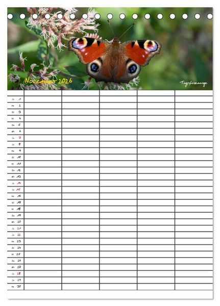 Produktbild: Schmetterlinge in Bayern (Tischkalender 2026 DIN A5 hoch), CALVENDO Monatskalender