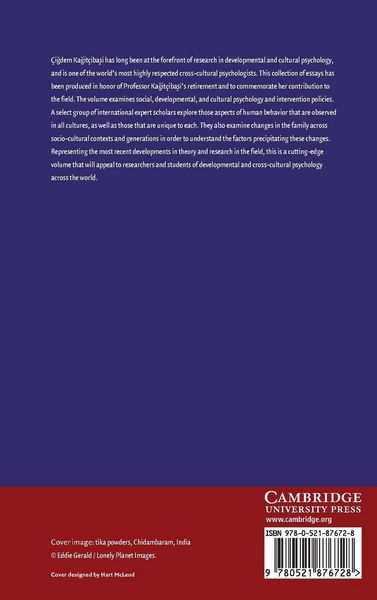 Produktbild: Perspectives on Human Development, Family, and Culture