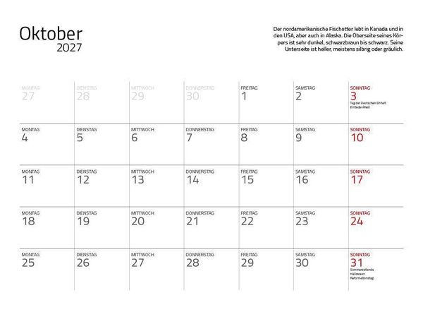 Produktbild: Otter Kalender 2027 Wandkalender Eintragkalender