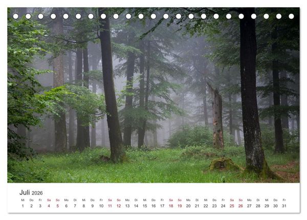 Produktbild: Im Deutschen Wald (Tischkalender 2026 DIN A5 quer), CALVENDO Monatskalender
