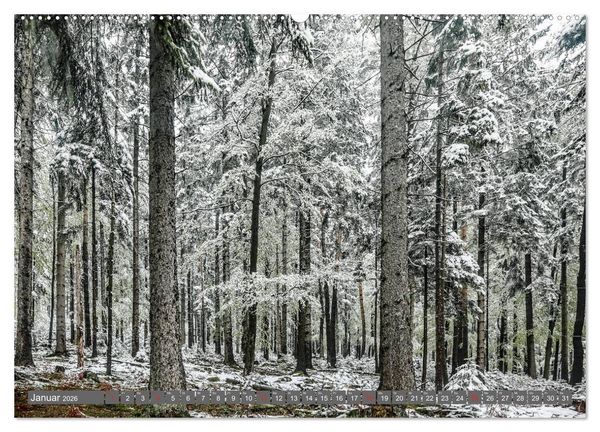 Produktbild: Schwarzwald-Wanderungen (hochwertiger Premium Wandkalender 2026 DIN A2 quer), Kunstdruck in Hochglanz
