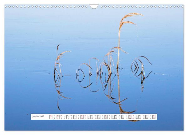 Produktbild: J'adore Le Cotentin (Calendrier mural 2026 DIN A3 vertical), CALVENDO calendrier mensuel