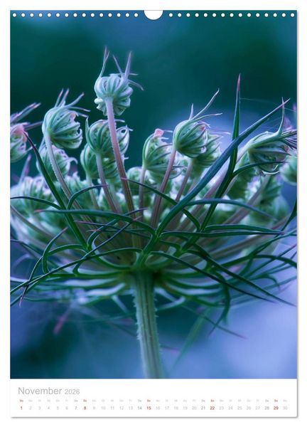 Produktbild: Wiesenblumen (Wandkalender 2026 DIN A3 hoch), CALVENDO Monatskalender