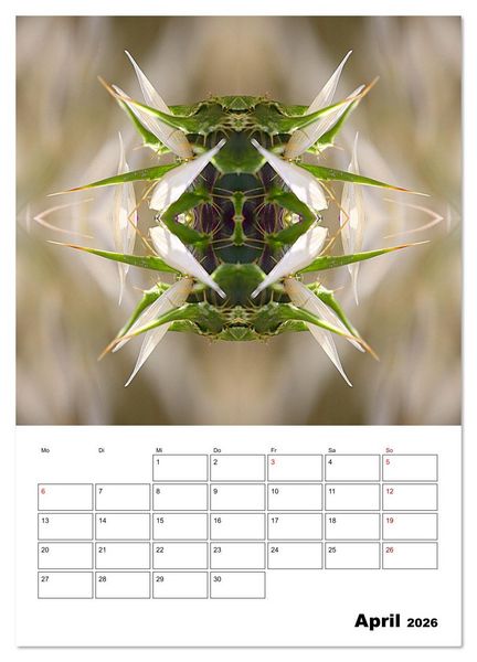 Produktbild: Fotokunst und Natur 2026 (Wandkalender 2026 DIN A4 hoch), CALVENDO Monatskalender