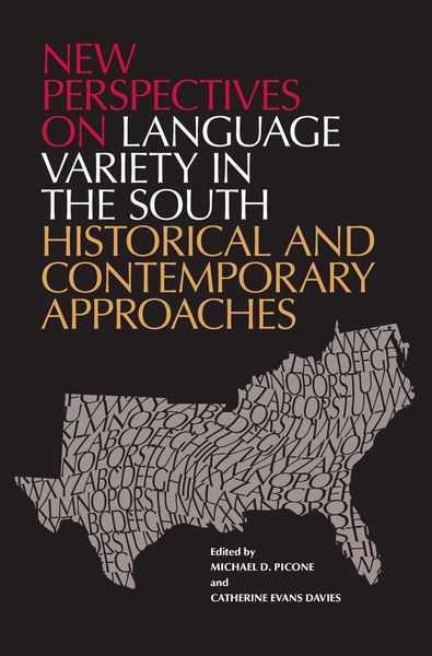 Produktbild: New Perspectives on Language Variety in the South