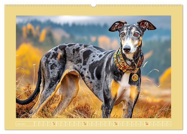 Produktbild: Windhunde. Seelenfl&uuml;sterer zwischen Anmut, Tempo und Stille (hochwertiger Premium Wandkalender 2026 DIN A2 quer), Kunstdruck in Hochglanz