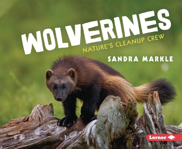 Produktbild: Wolverines