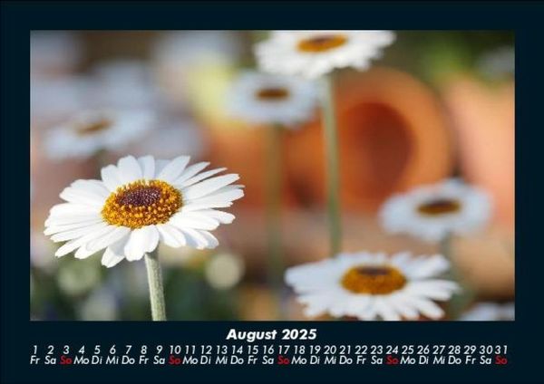 Produktbild: Blumenkalender 2025 Fotokalender DIN A5