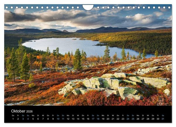 Produktbild: Wildes Europa 2026 (Wandkalender 2026 DIN A4 quer), CALVENDO Monatskalender