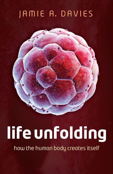 Produktbild: Life Unfolding