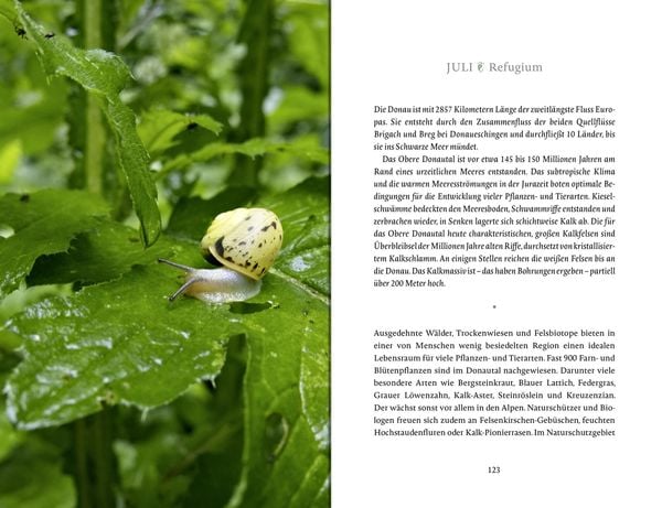 Produktbild: Das Glück wächst im Garten