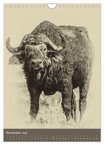 Produktbild: Afrikas Tierwelt - Sepia-Art (Wandkalender 2026 DIN A4 hoch), CALVENDO Monatskalender