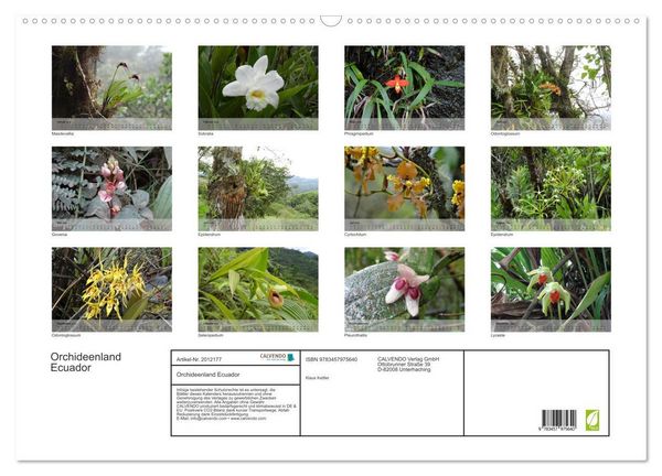 Produktbild: Orchideenland Ecuador (Wandkalender 2026 DIN A2 quer), CALVENDO Monatskalender