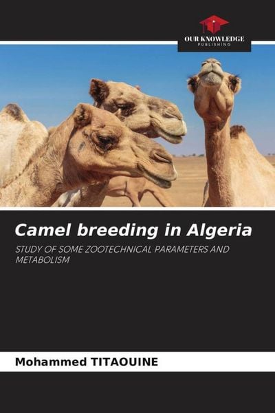 Produktbild: Camel breeding in Algeria