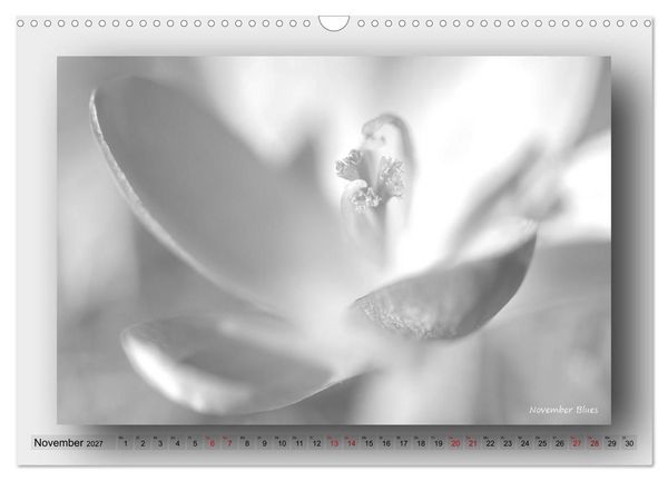 Produktbild: Foto-Art-Natur (Wandkalender 2027 DIN A3 quer), CALVENDO Monatskalender