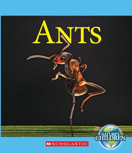 Produktbild: Ants (Nature's Children)