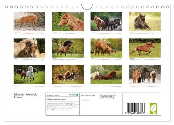 Produktbild: Isl&auml;nder - icelandic horses (Wandkalender 2026 DIN A4 quer), CALVENDO Monatskalender