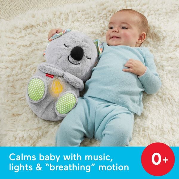Produktbild: Fisher-Price Schlummer-Koala