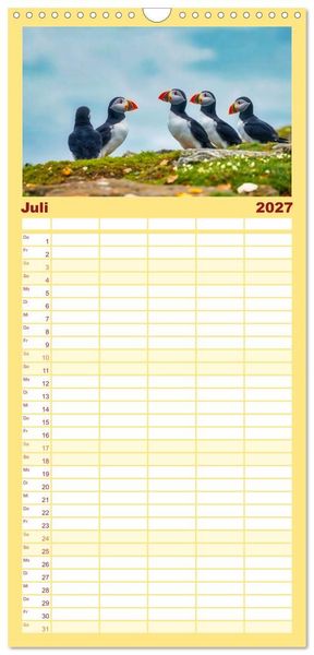 Produktbild: Familienplaner 2027 - Tieftaucher Papageitaucher mit 5 Spalten (Wandkalender, 21 x 45 cm) CALVENDO