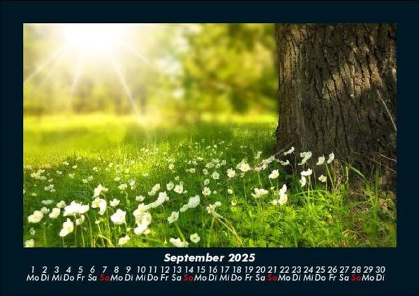Produktbild: Blumentr&auml;ume 2025 Fotokalender DIN A5