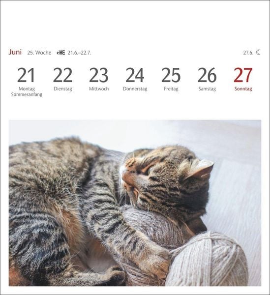 Produktbild: Katzen Postkartenkalender 2027 - Wochenkalender mit 53 Postkarten