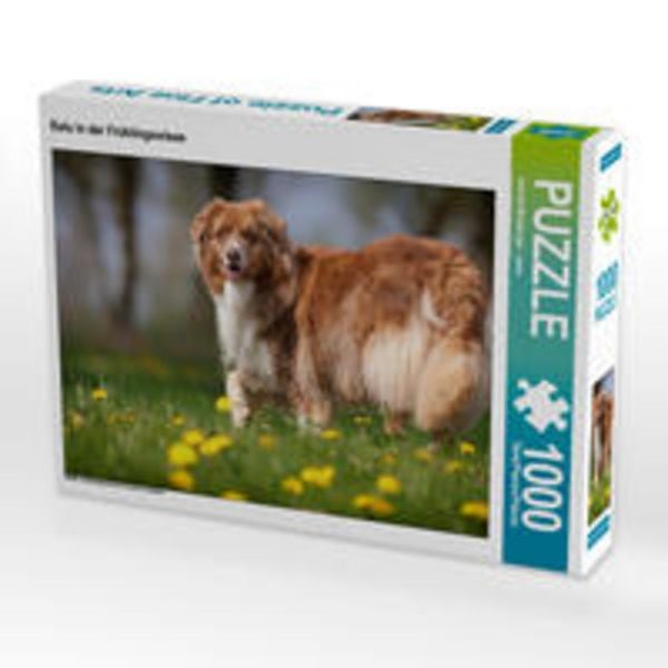 CALVENDO Puzzle Balu in der Frühlingswiese 1000 Teile Lege-Größe 64 x 48 cm Foto-Puzzle Bild von Annett Mirsberger www.annettmirsberger.de