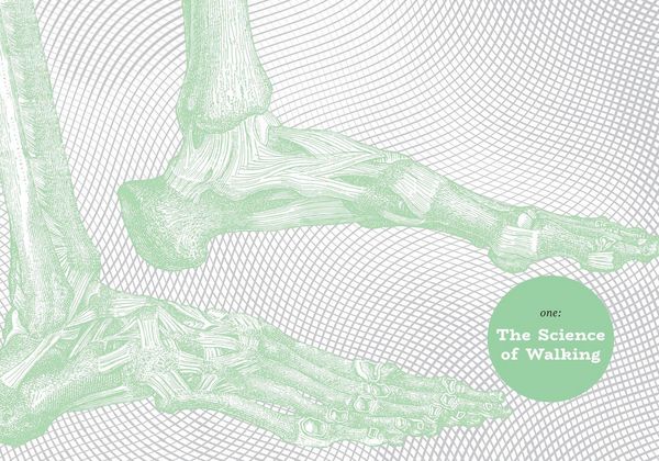 Produktbild: The Art of Walking