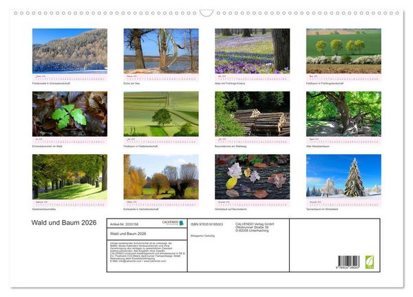 Produktbild: Wald und Baum 2026 (Wandkalender 2026 DIN A2 quer), CALVENDO Monatskalender