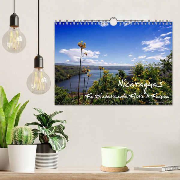 Produktbild: Nicaraguas faszinierende Flora & Fauna (Wandkalender 2026 DIN A4 quer), CALVENDO Monatskalender