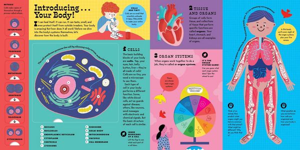 Produktbild: The Interactive Human Body