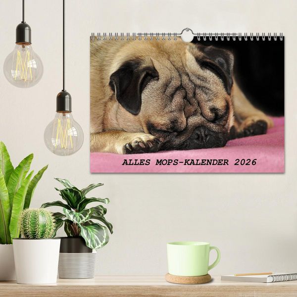Produktbild: Alles Mops-Kalender 2026 (Wandkalender 2026 DIN A4 quer), CALVENDO Monatskalender