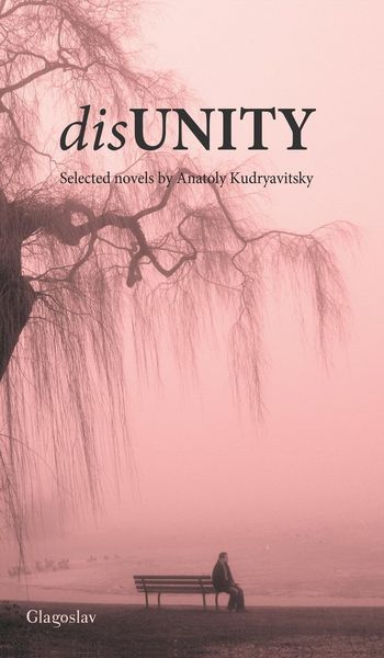 Produktbild: Disunity