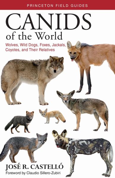 Produktbild: Canids of the World