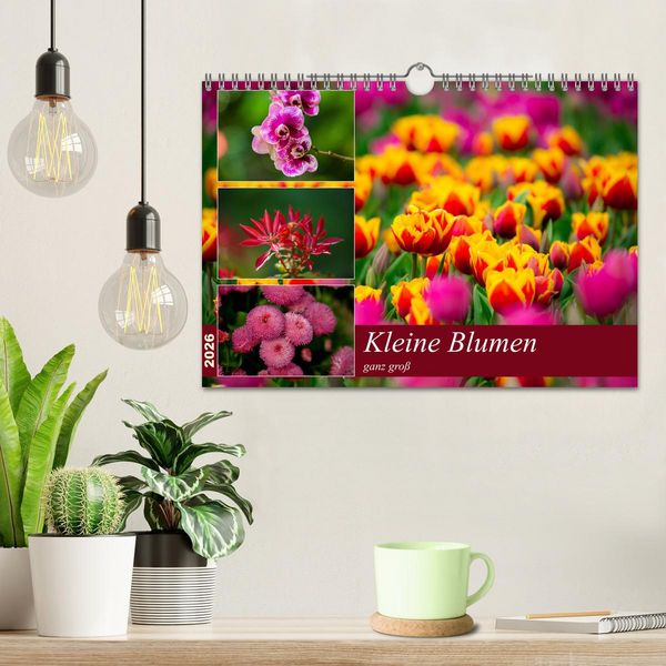 Produktbild: Kleine Blumen ganz gro&szlig; (Wandkalender 2026 DIN A4 quer), CALVENDO Monatskalender