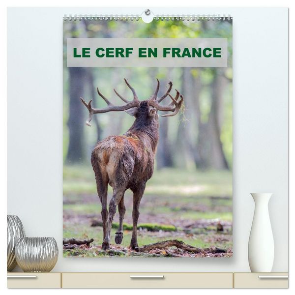 Produktbild: LE CERF EN FRANCE (Calendrier mural 2026 DIN A2 horizontal) calendrier de bureau