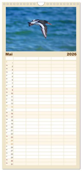 Produktbild: Familienplaner 2026 - An der Nordsee mit 5 Spalten (Wandkalender, 21 x 45 cm) CALVENDO
