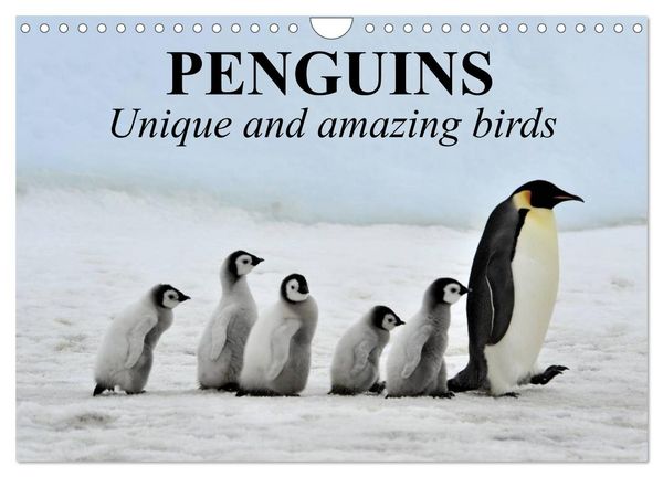 Produktbild: Penguins Unique and amazing birds (Wall Calendar 2026 DIN A4 landscape), CALVENDO 12 Month Wall Calendar