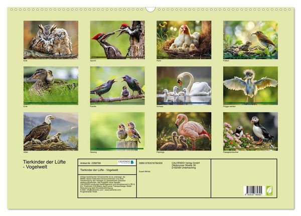 Produktbild: Tierkinder der L&uuml;fte - Vogelwelt (Wandkalender 2027 DIN A2 quer), CALVENDO Monatskalender
