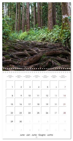 Produktbild: L'ile de la R&eacute;union, un volcan au milieu de l'oc&eacute;an Indien (Calendrier mural carr&eacute; 2026 30x30 cm) Calendrier double avec une page pour vos prises de notes