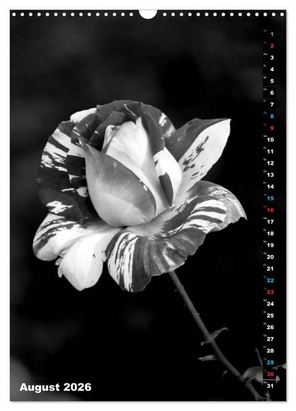 Produktbild: Blumige Graustufen - Schwarz und Wei&szlig; (Wandkalender 2026 DIN A3 hoch), CALVENDO Monatskalender