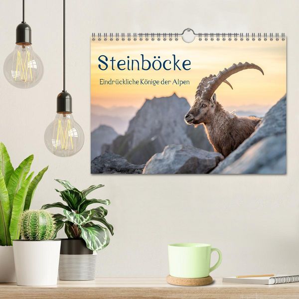 Produktbild: Steinb&ouml;cke - Eindr&uuml;ckliche K&ouml;nige der Alpen (Wandkalender 2026 DIN A4 quer), CALVENDO Monatskalender